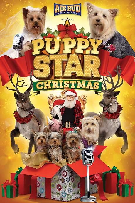 Puppy Star Christmas